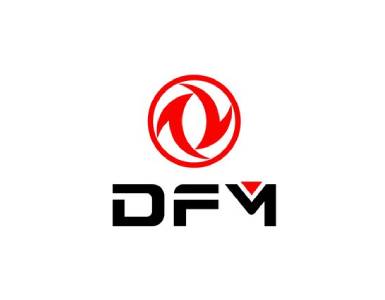 DFM